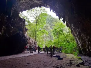 Cave of Guacharo