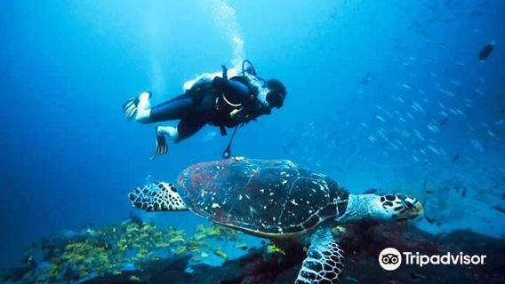 Sea Retreats Dive and Water Sports Center