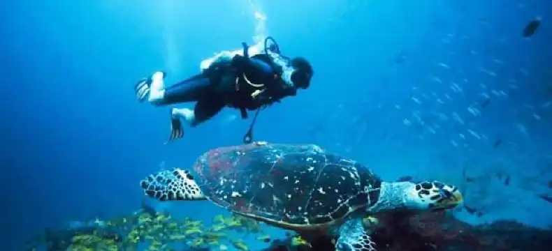 Hotels in Thulusdhoo