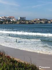 Alex surf school- Baleal, Peniche