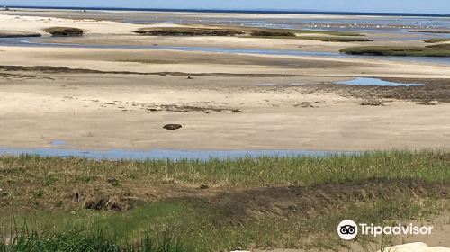 Paine's Creek Beach