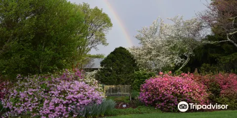 Bullington Gardens, Inc.