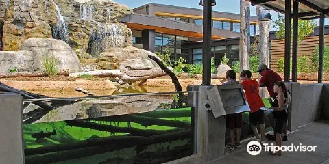 Go Fish Education Center