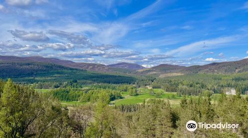 Creag Choinnich