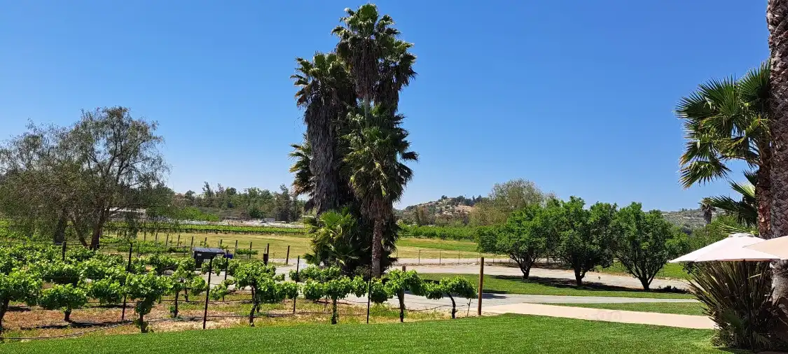 Hotels near Barrel 1 Winery