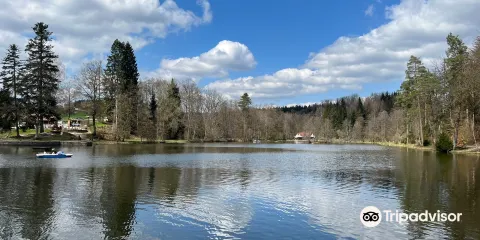 Ebnisee