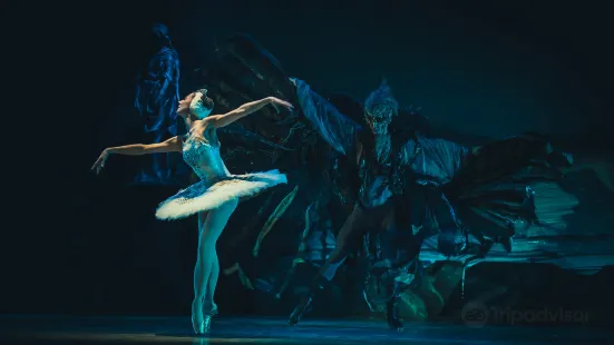 莫斯科古典芭蕾舞團