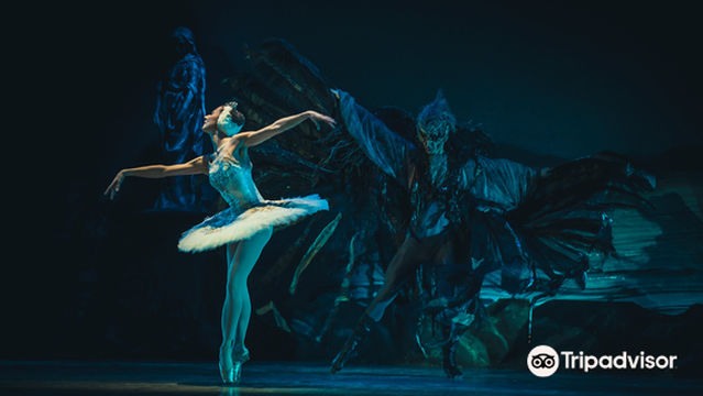 Moscow Ballet Watching