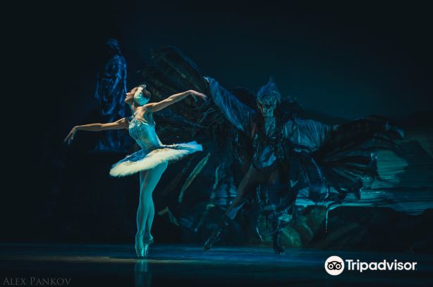 Ballet Performances in Moscow