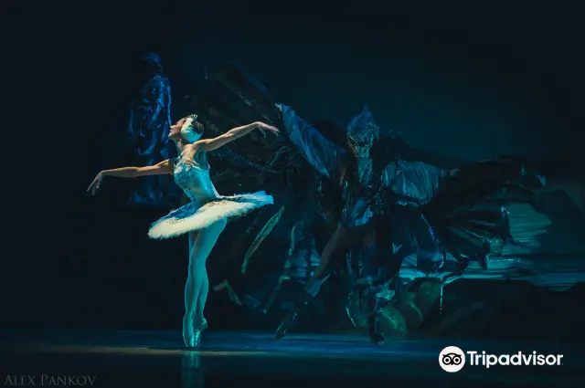 Moscow Ballet Watching