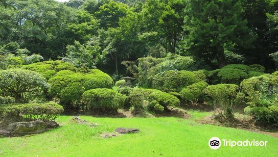 Takeo City Cultural Center Garden