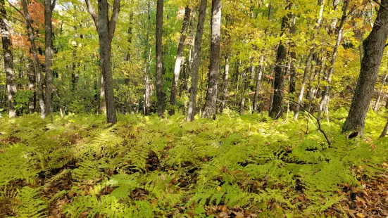 Chippewa Moraine Ice Age State Recreation Area