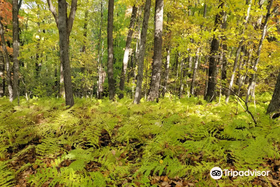 Chippewa Moraine Ice Age State Recreation Area