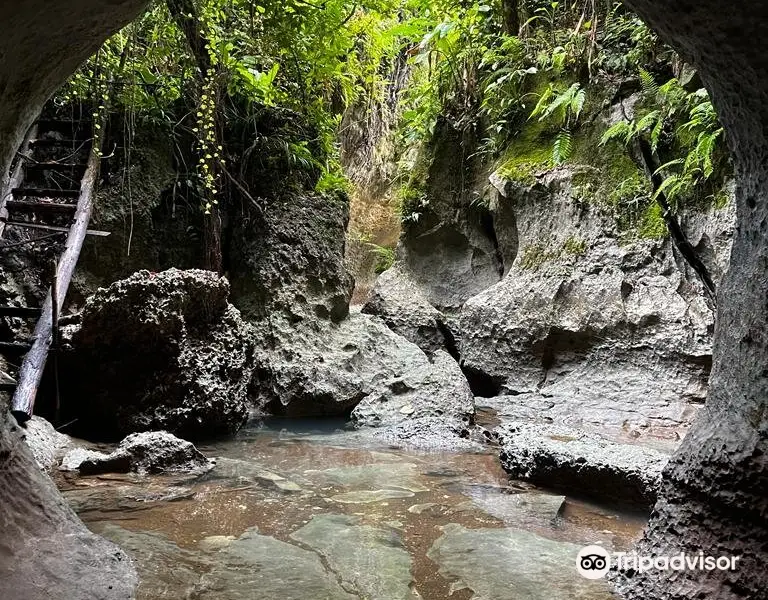 Tayangban Cave Pool