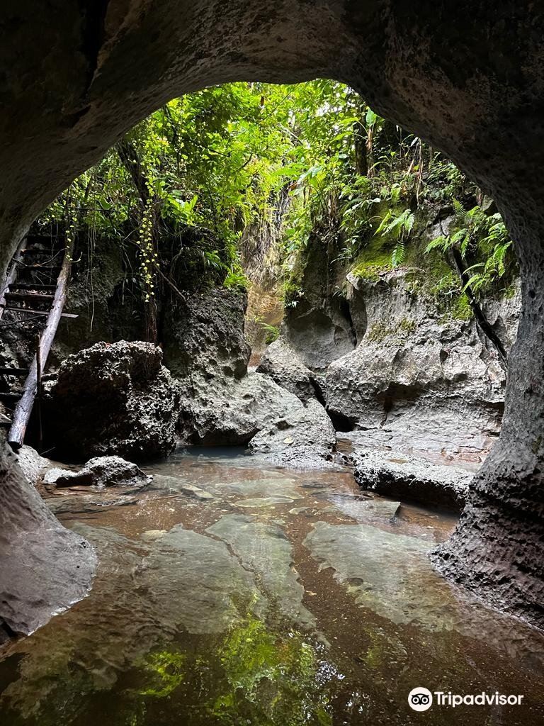 Tayangban Cave Pool