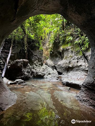Tayangban Cave Pool