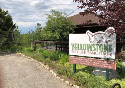 Yellowstone Wildlife Sanctuary