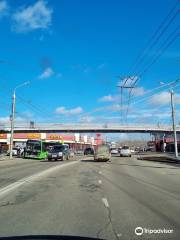 Pedestrian Bridge