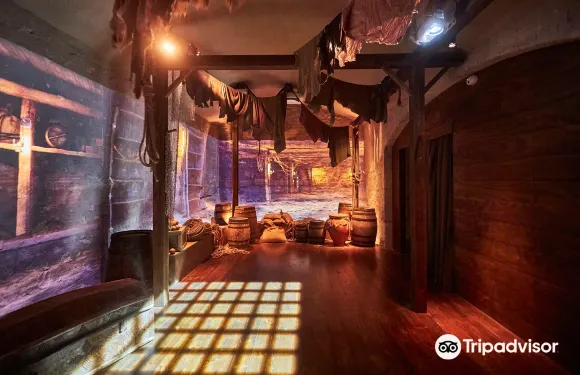 卡斯特德菲爾斯