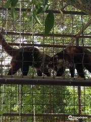 The Wild Animal Sanctuary-TEXAS - FKA -International Exotic Animal Sanctuary