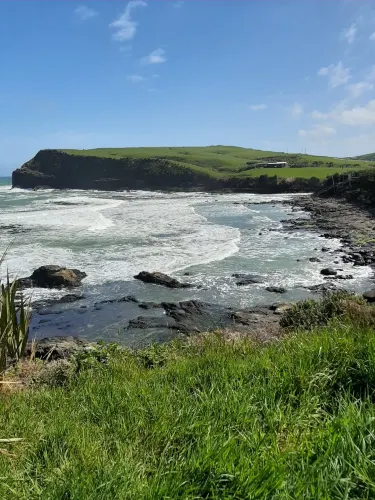Curio Bay