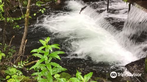 Bear Creek Weir