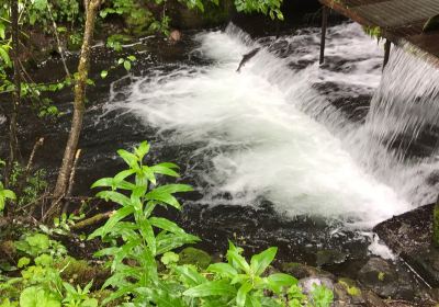 Bear Creek Weir