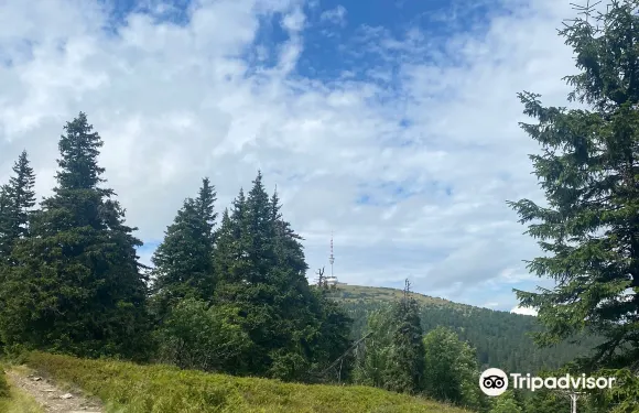 卡爾洛瓦斯圖丹卡