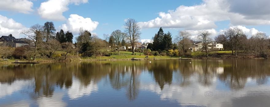 Dungannon Park