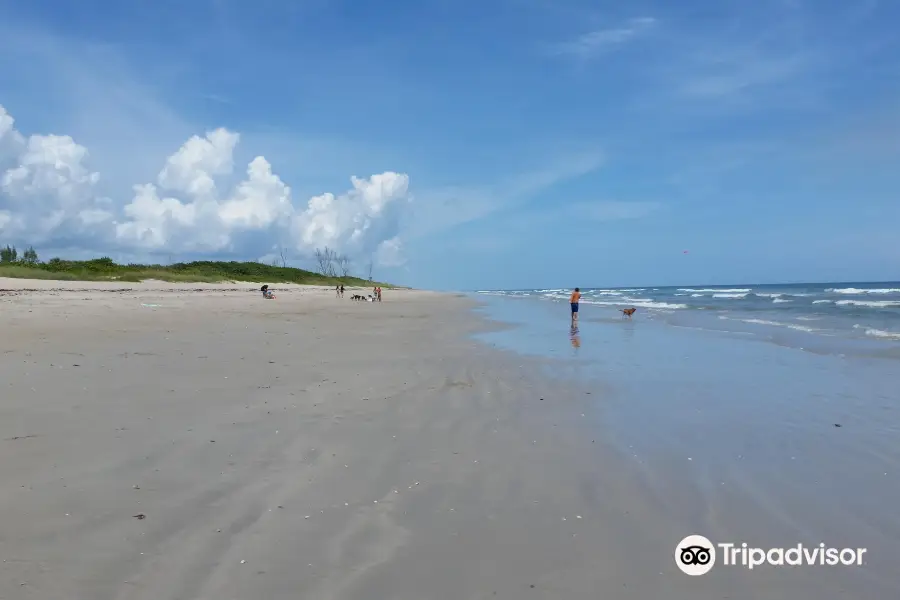 Walton Rocks Beach / Dog Park