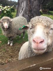 Yallingup Shearing Shed