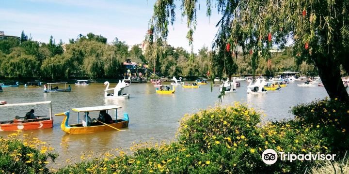 Burnham Park