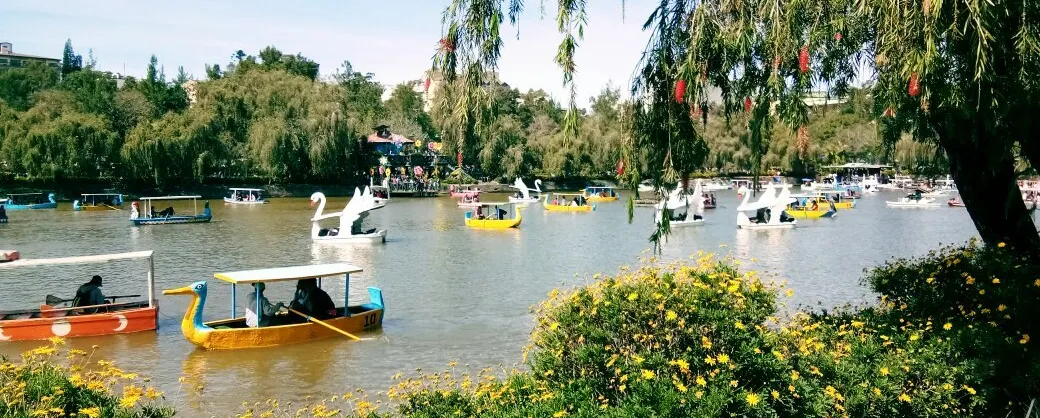 Attractions Familles