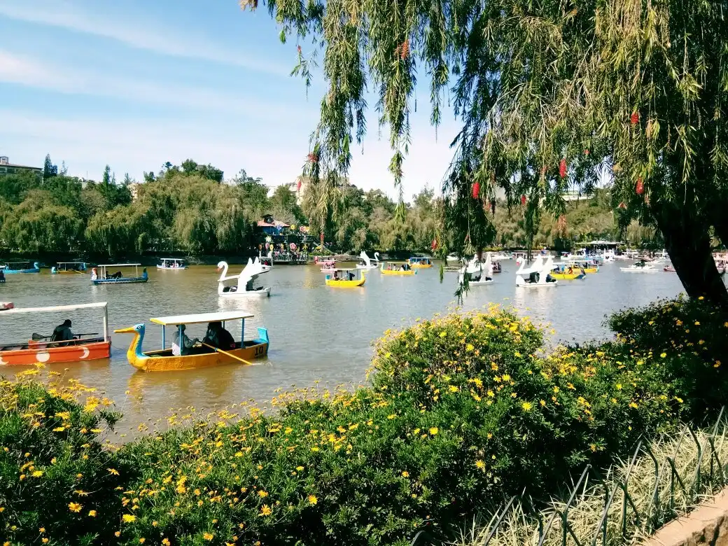 Hotels near Burnham Park