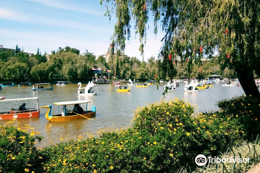 伯納姆公園