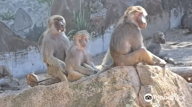 5_Neunkircher Zoologischer Garten