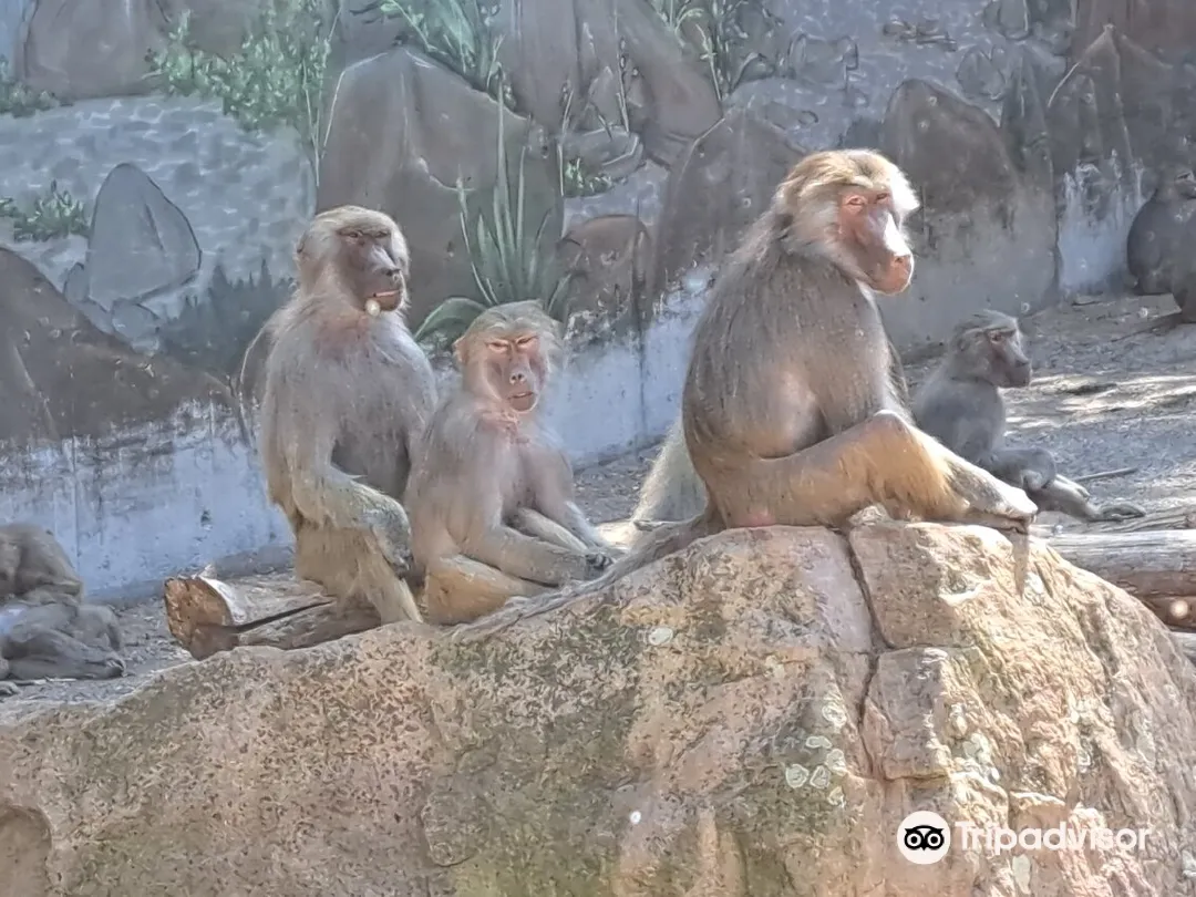 5_Neunkircher Zoologischer Garten