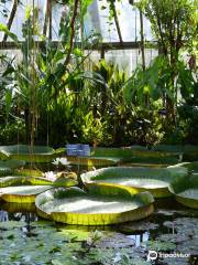 Jardin Botanique de Lyon