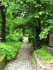 Smolensky Cemetery