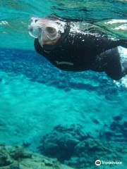 Freedive Iceland