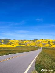 Carrizo Plain National Monument