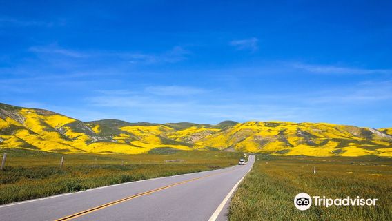 Carrizo Plain National Monument