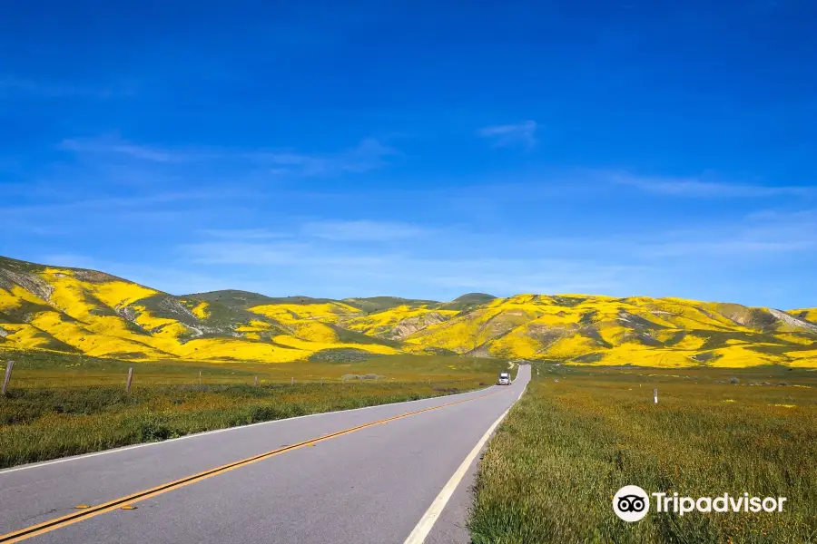 Carrizo Plain National Monument