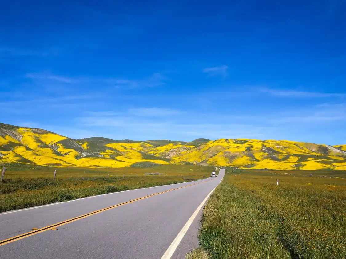 Hotels near Carrizo Plain National Monument