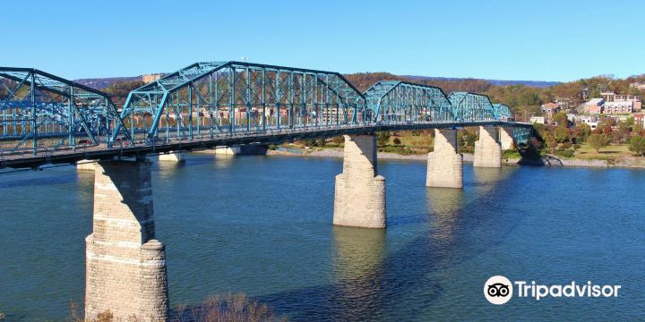 Walnut Street Bridge
