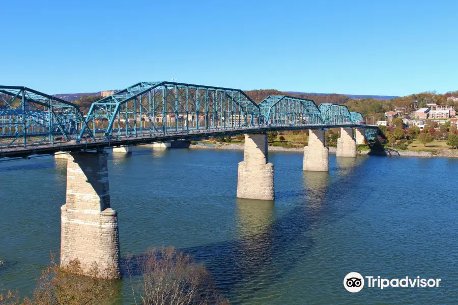 Walnut Street Bridge