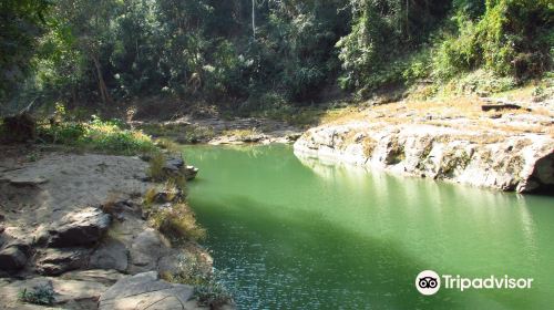 Alaungdaw Kathapa National Park