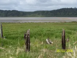 Grays Harbor National Wildlife Refuge