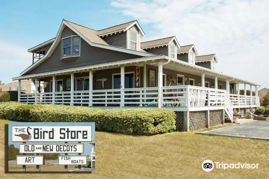 The Bird Store- The Outer Banks Wildlife Art Gallery