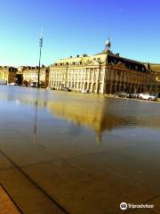 Bordeaux da Scoprire